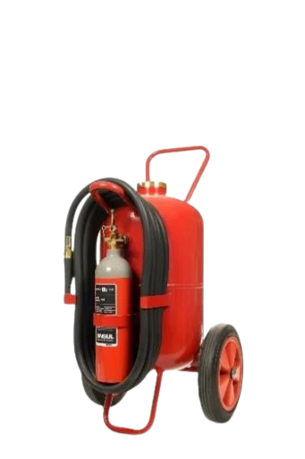 SPECIAL POWDER (Gross)